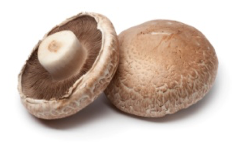 Read more about the article Discerning fact from fiction : Mushrooms and iodine
