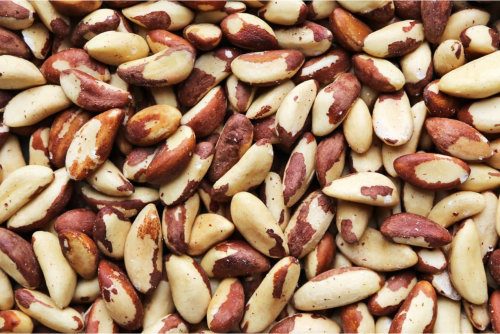 Selenium Brazil Nuts